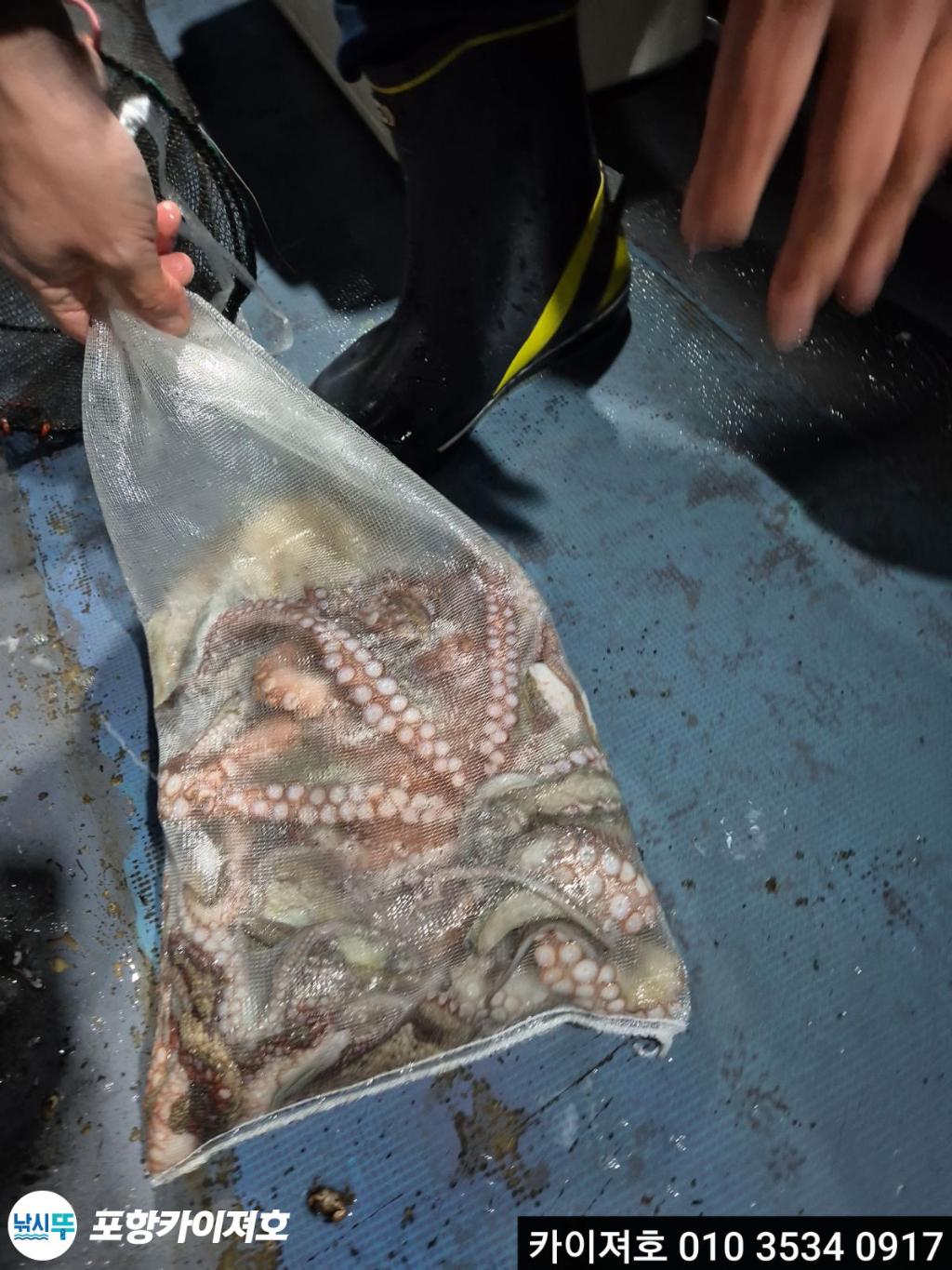 낚시뚜,기타 (직접입력),영일만항,포항카이져호,낚시뚜0