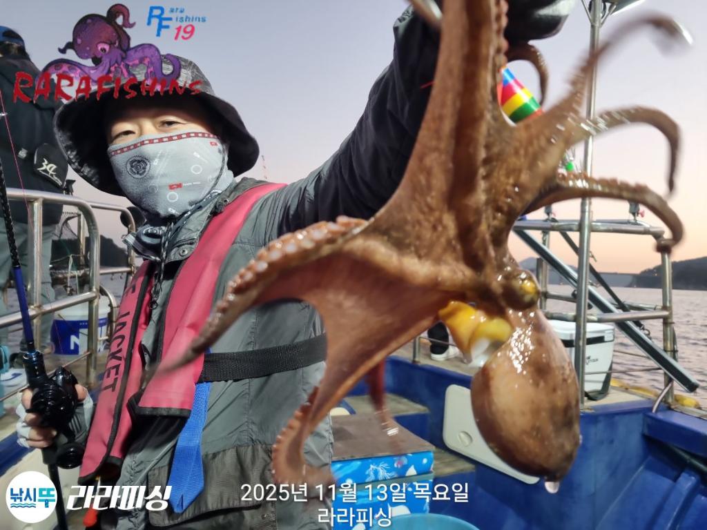 낚시뚜,돌문어,속천항(진해),라라피싱,낚시뚜17