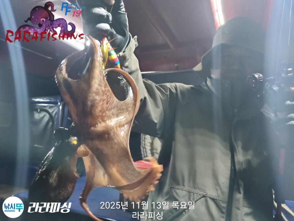 낚시뚜,돌문어,속천항(진해),라라피싱,낚시뚜13
