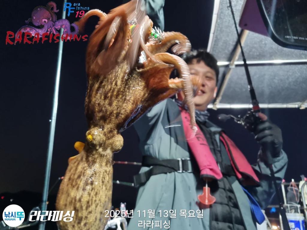 낚시뚜,돌문어,속천항(진해),라라피싱,낚시뚜12
