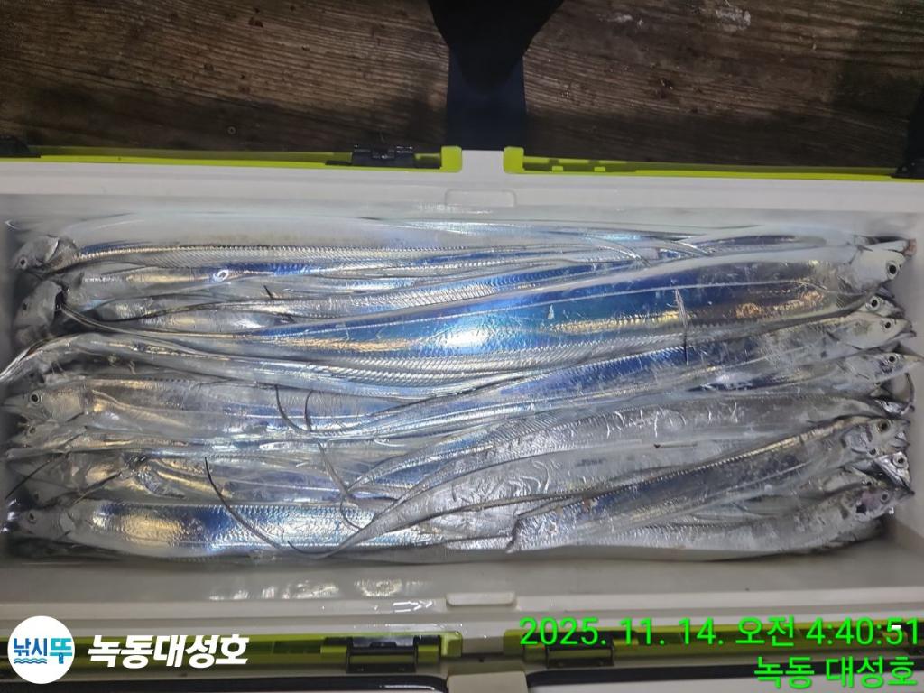 낚시뚜,갈치,녹동항,녹동대성호,낚시뚜61