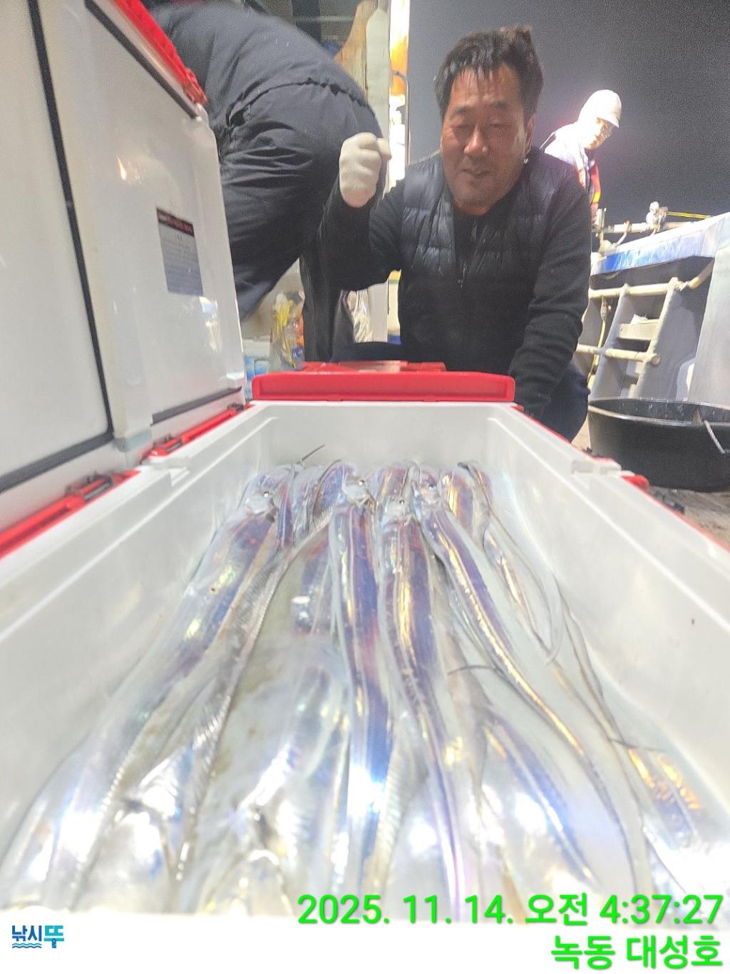 낚시뚜,갈치,녹동항,녹동대성호,낚시뚜49