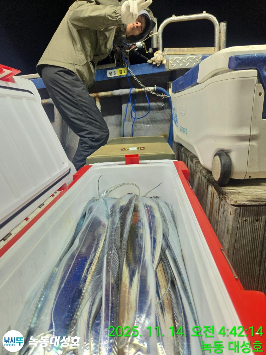 낚시뚜,갈치,녹동항,녹동대성호,낚시뚜48