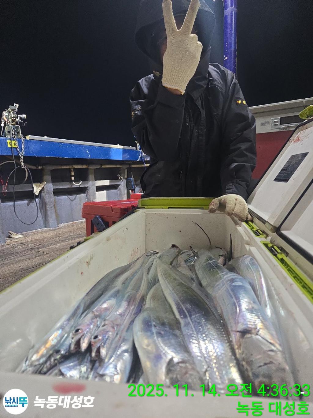 낚시뚜,갈치,녹동항,녹동대성호,낚시뚜47