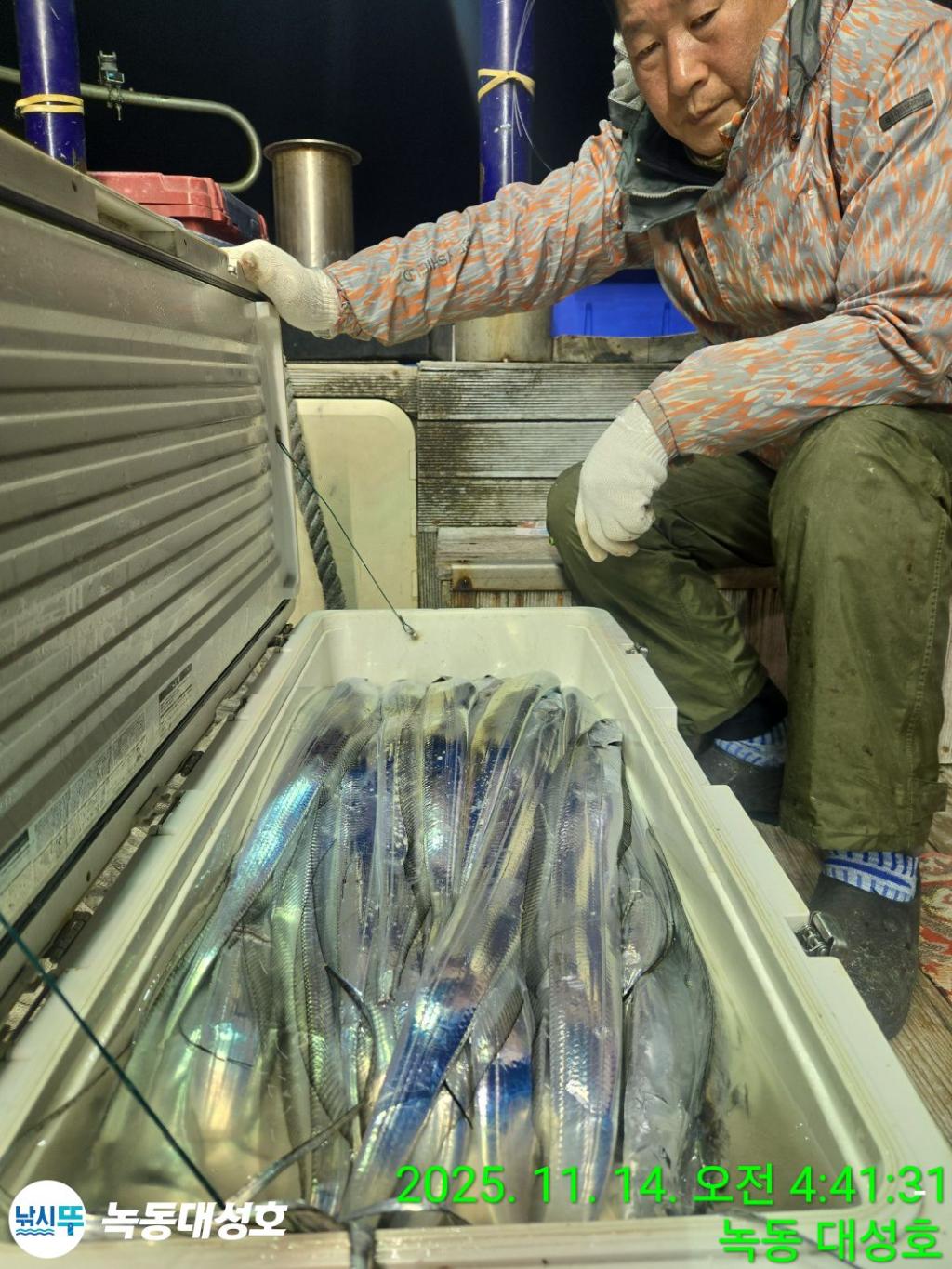 낚시뚜,갈치,녹동항,녹동대성호,낚시뚜45