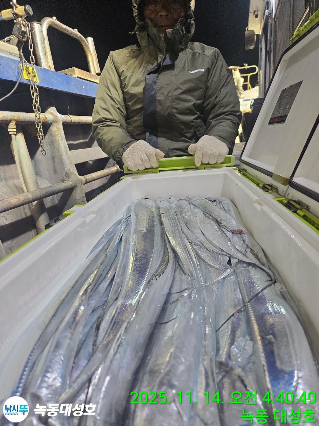 낚시뚜,갈치,녹동항,녹동대성호,낚시뚜44