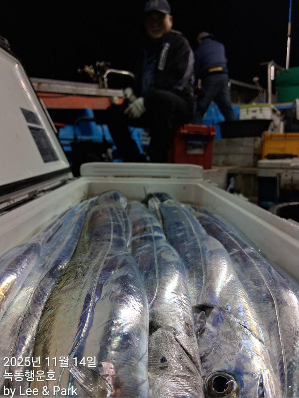 낚시뚜,갈치,녹동항,녹동대성호,낚시뚜41