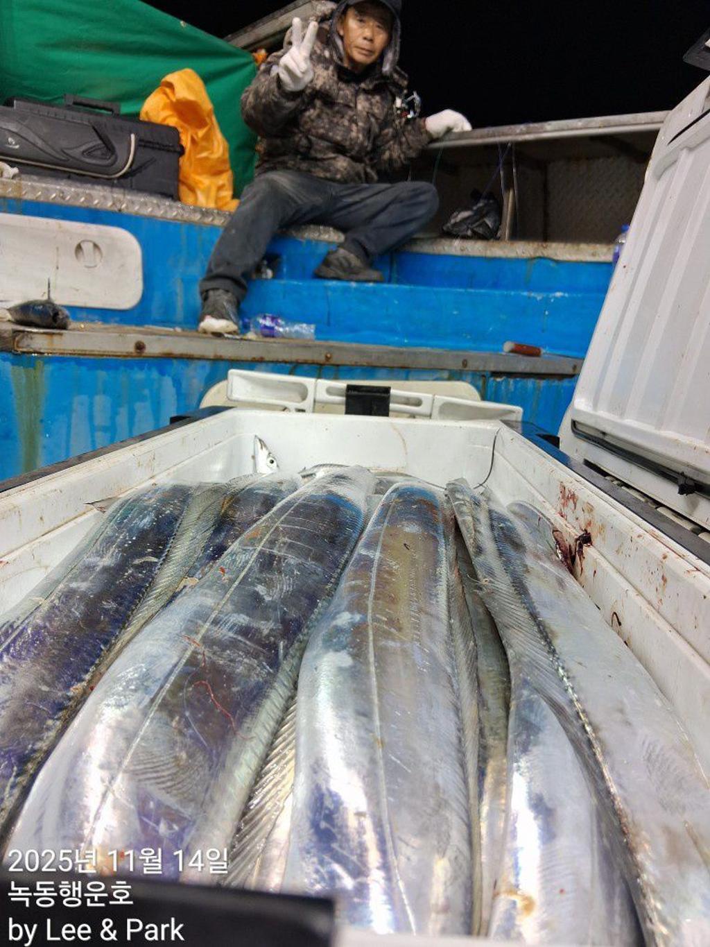 낚시뚜,갈치,녹동항,녹동대성호,낚시뚜40