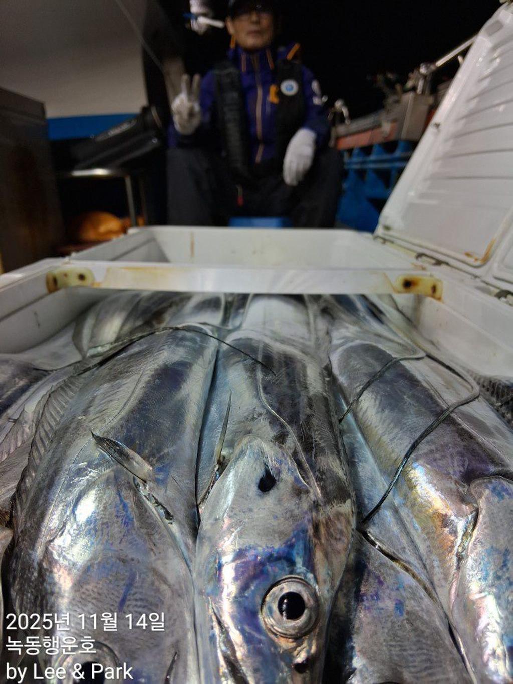 낚시뚜,갈치,녹동항,녹동대성호,낚시뚜39