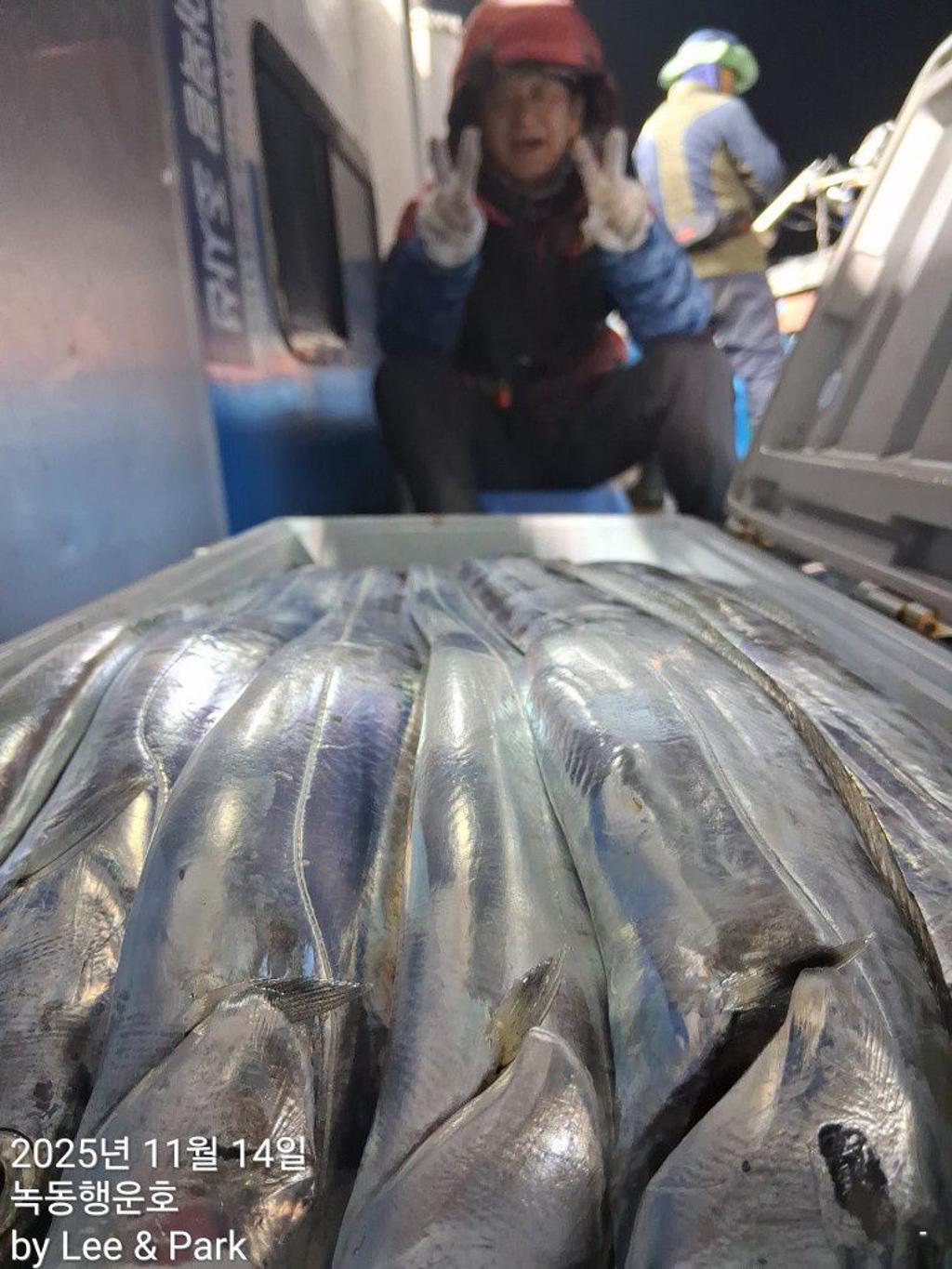 낚시뚜,갈치,녹동항,녹동대성호,낚시뚜38