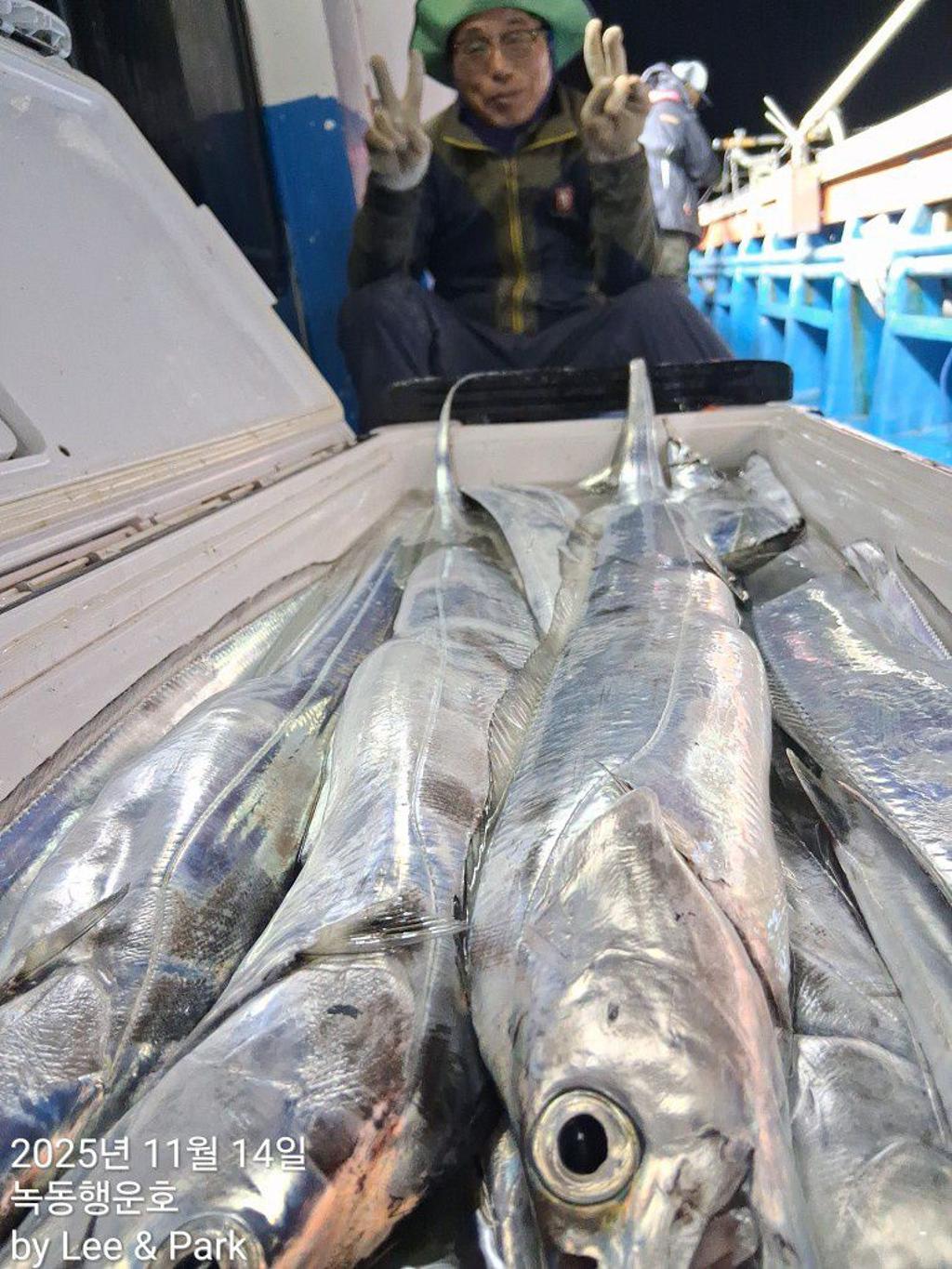 낚시뚜,갈치,녹동항,녹동대성호,낚시뚜37