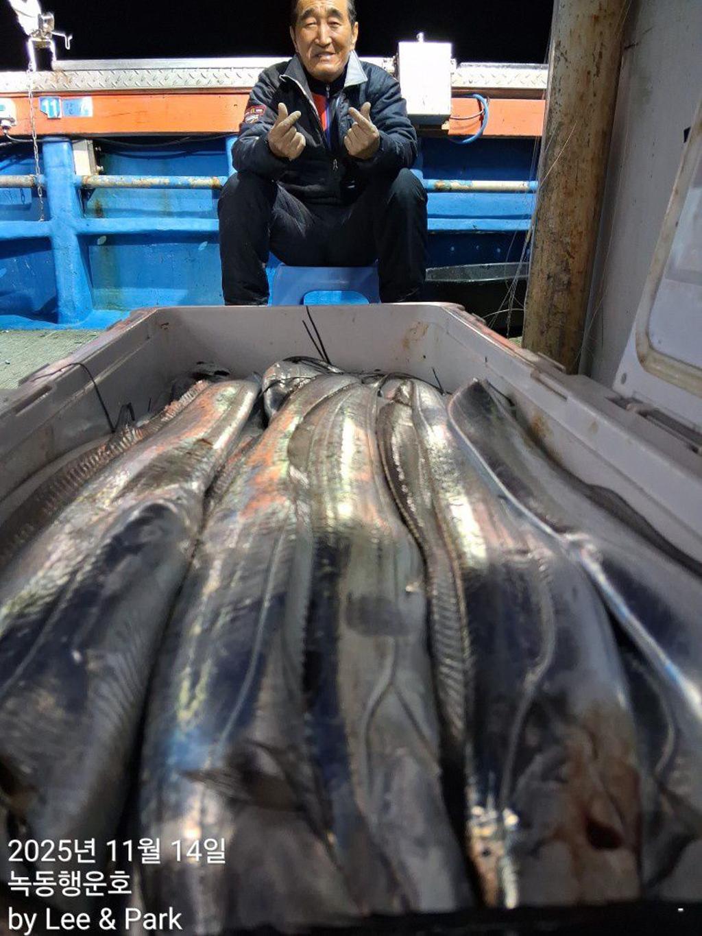 낚시뚜,갈치,녹동항,녹동대성호,낚시뚜36