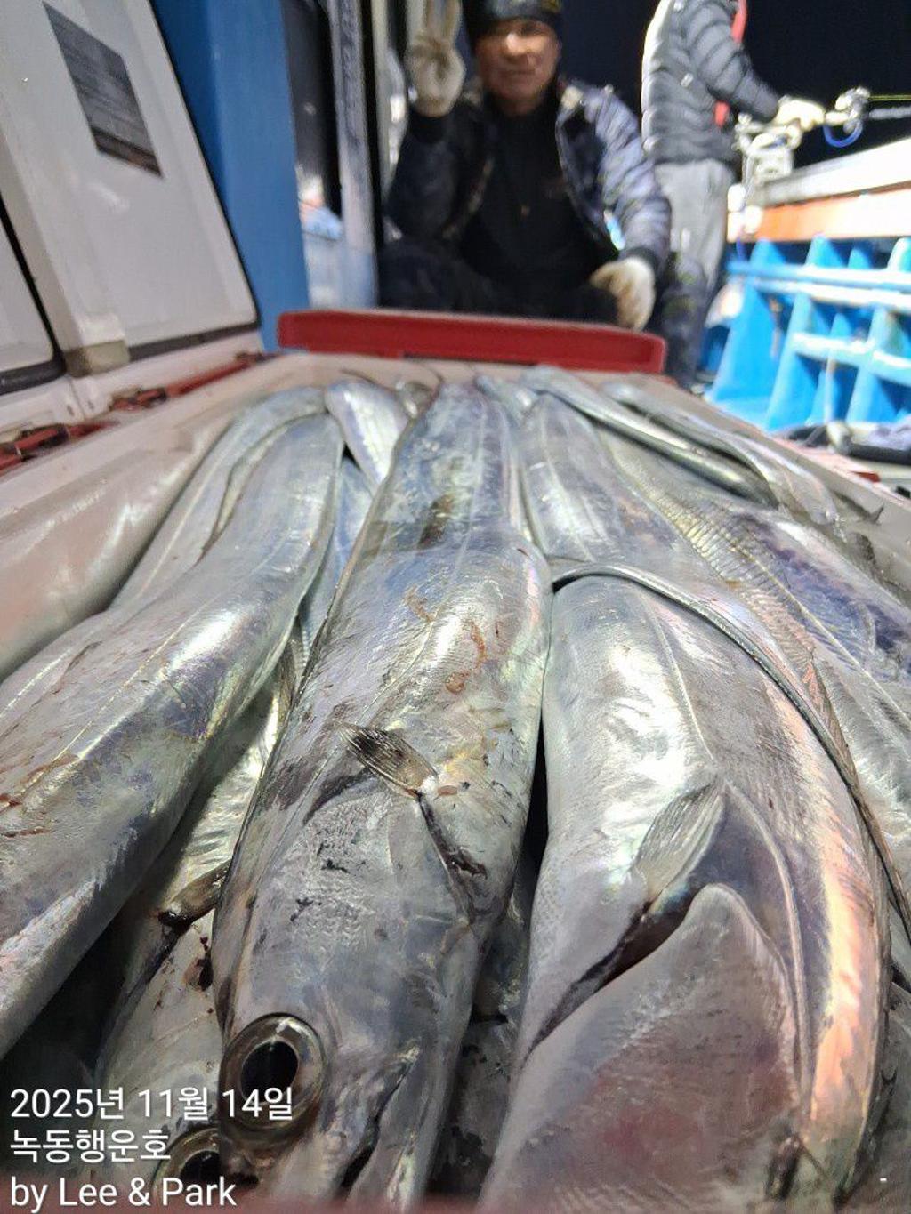 낚시뚜,갈치,녹동항,녹동대성호,낚시뚜35