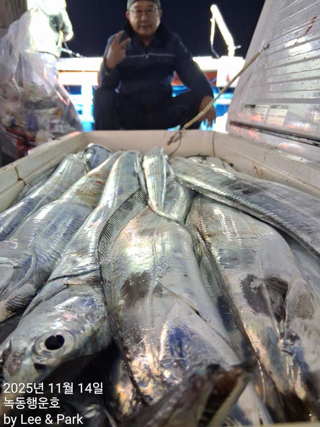 낚시뚜,갈치,녹동항,녹동대성호,낚시뚜33