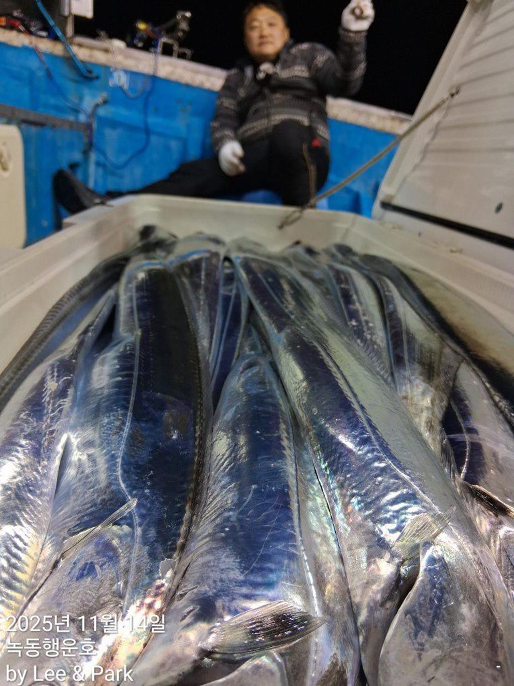 낚시뚜,갈치,녹동항,녹동대성호,낚시뚜32