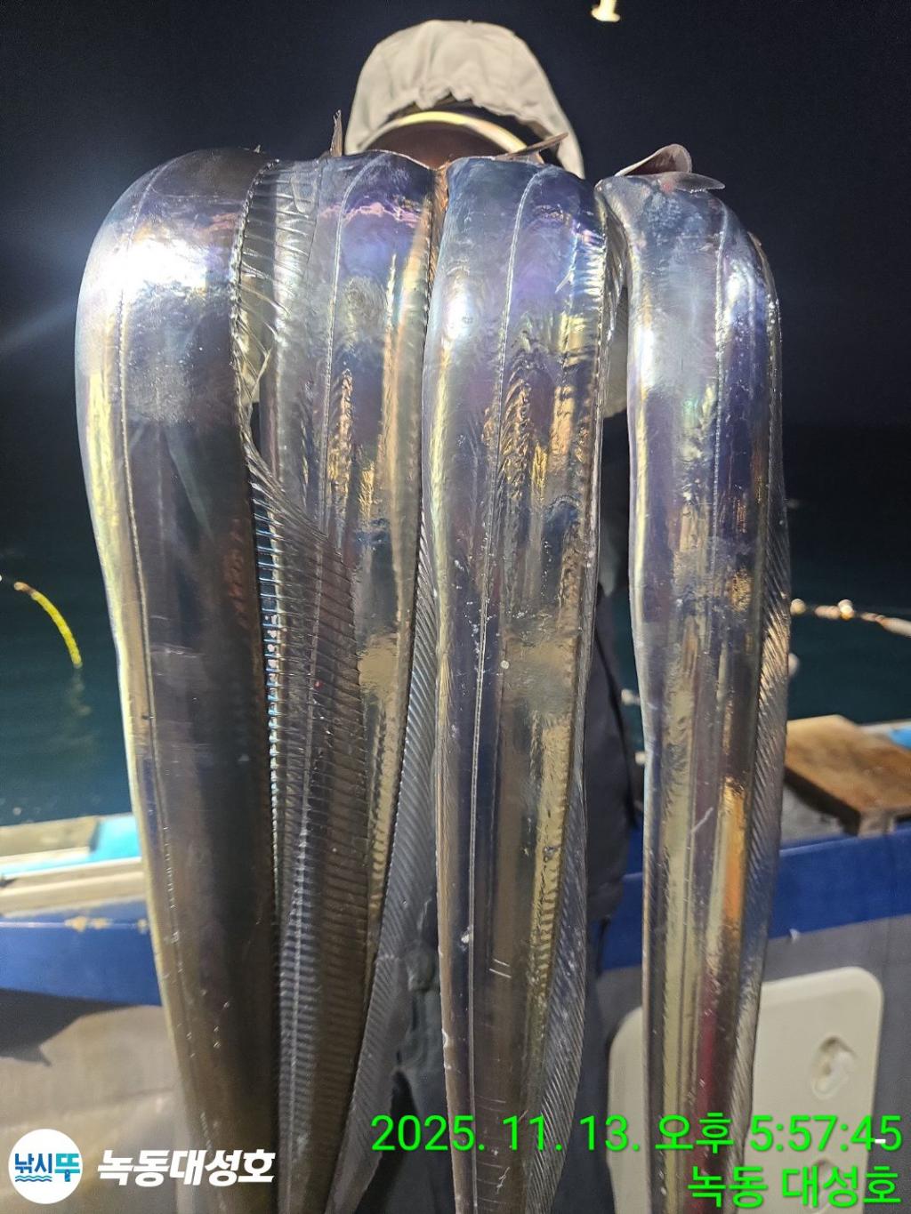 낚시뚜,갈치,녹동항,녹동대성호,낚시뚜28