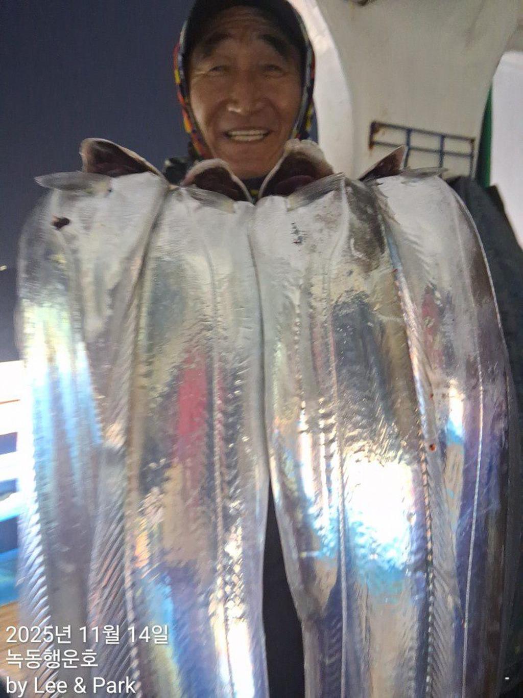 낚시뚜,갈치,녹동항,녹동대성호,낚시뚜23