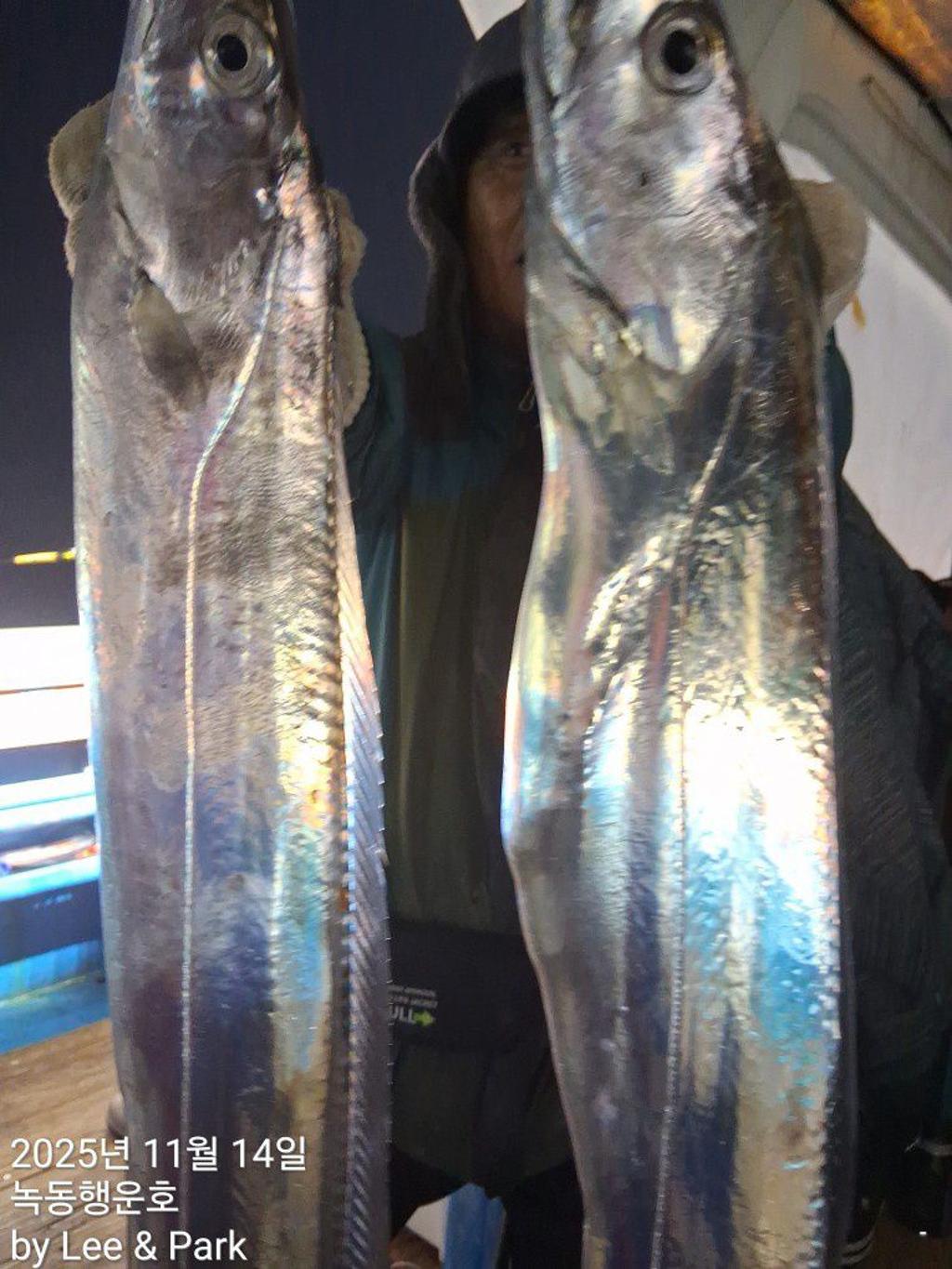 낚시뚜,갈치,녹동항,녹동대성호,낚시뚜18