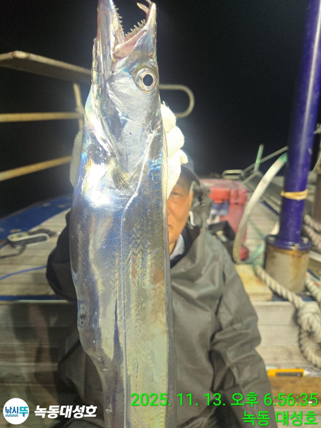 낚시뚜,갈치,녹동항,녹동대성호,낚시뚜17