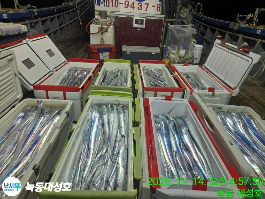 낚시뚜,갈치,녹동항,녹동대성호,낚시뚜7