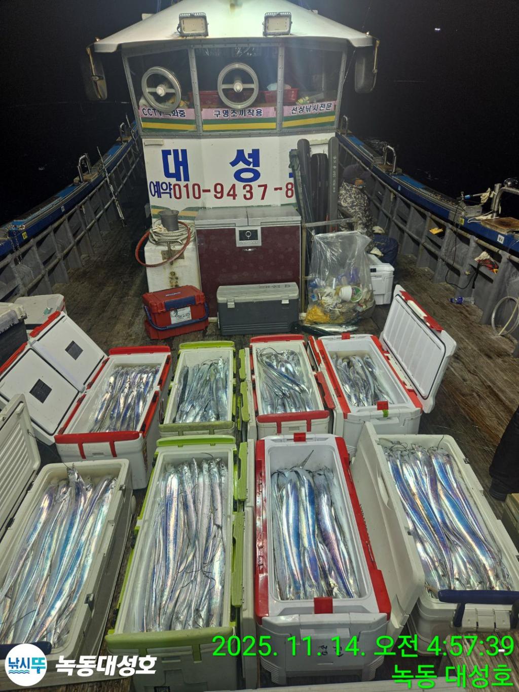 낚시뚜,갈치,녹동항,녹동대성호,낚시뚜4