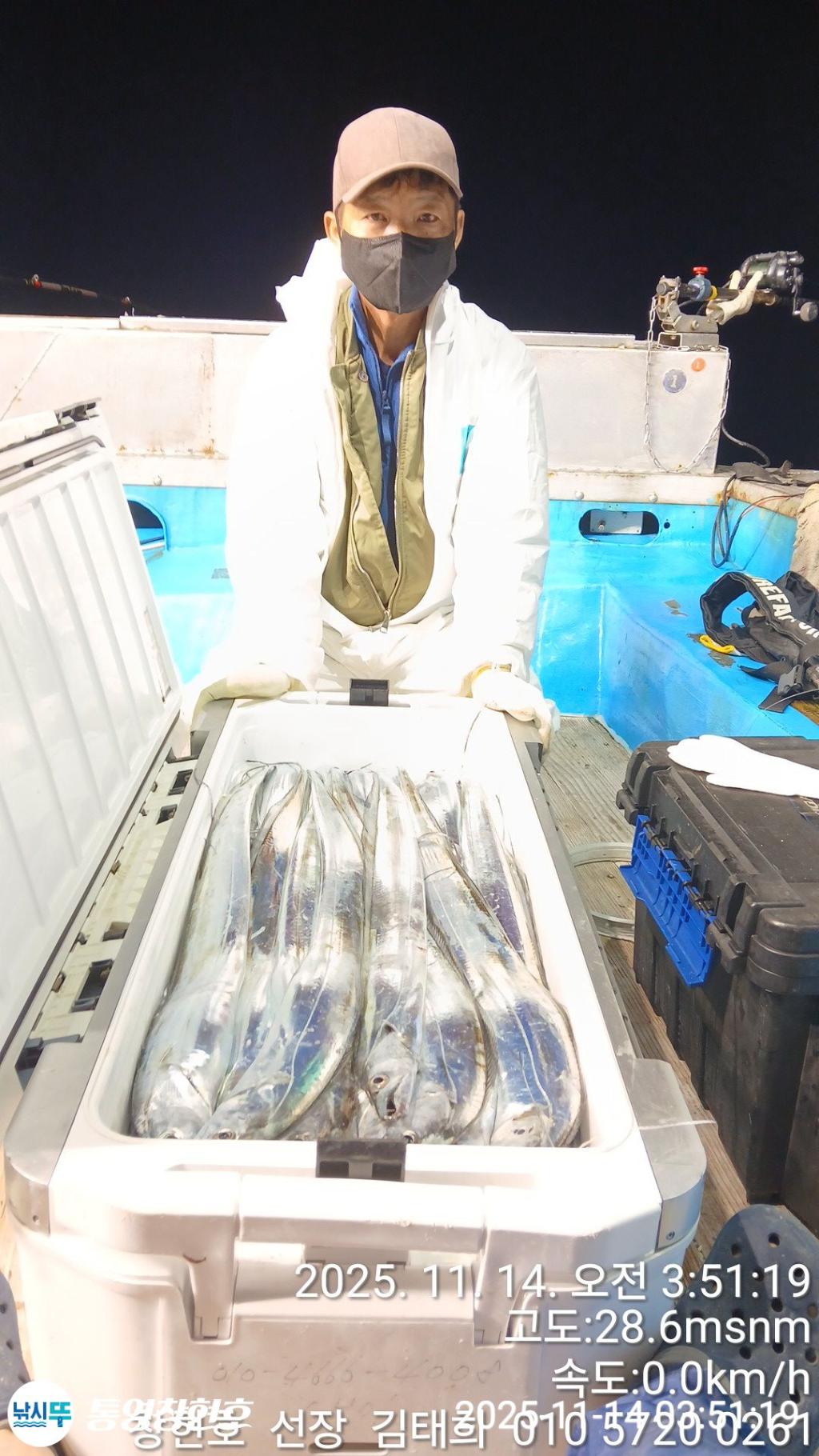 낚시뚜,갈치,통영연명항,통영창현호,낚시뚜6