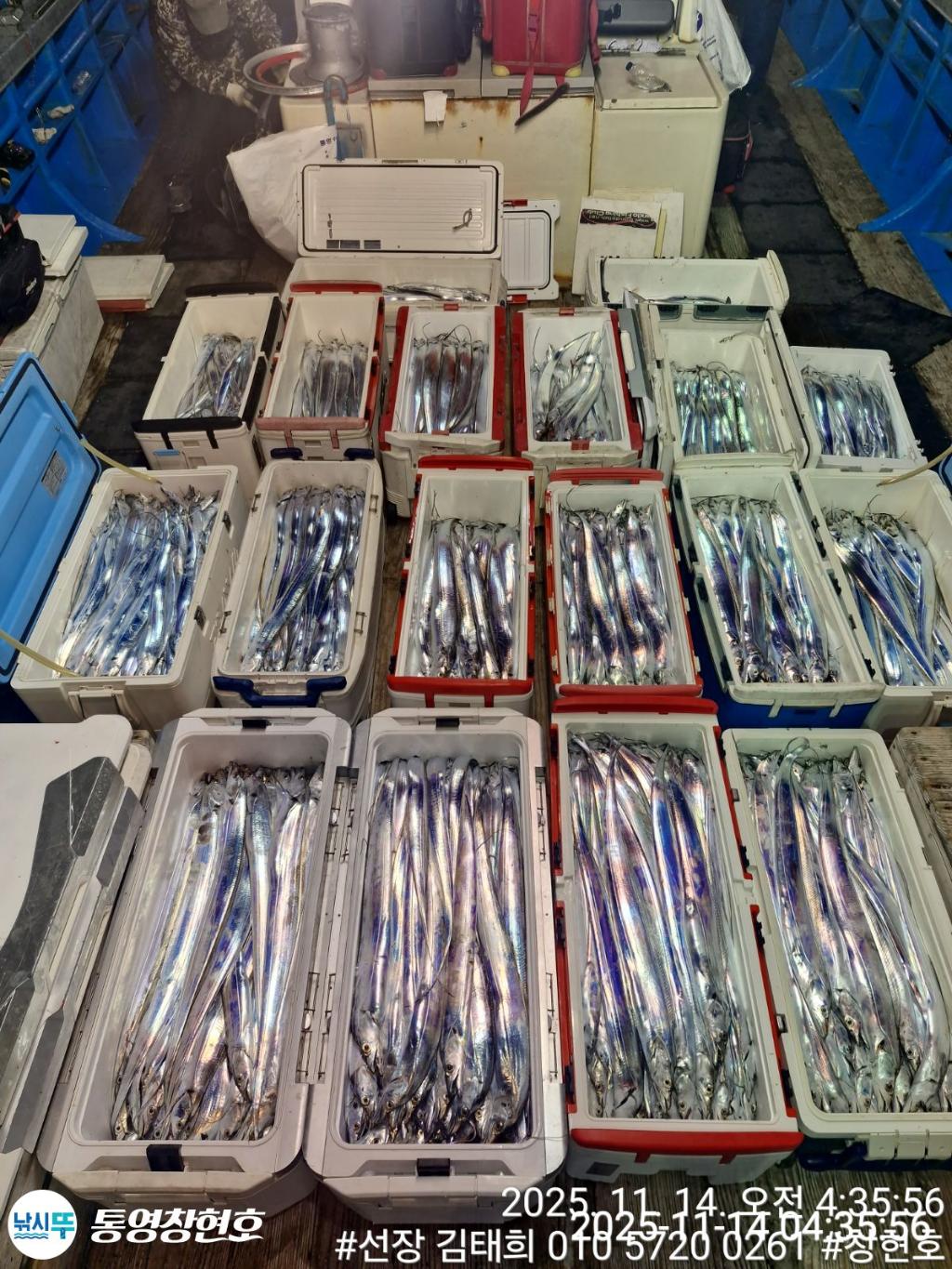 낚시뚜,갈치,통영연명항,통영창현호,낚시뚜0