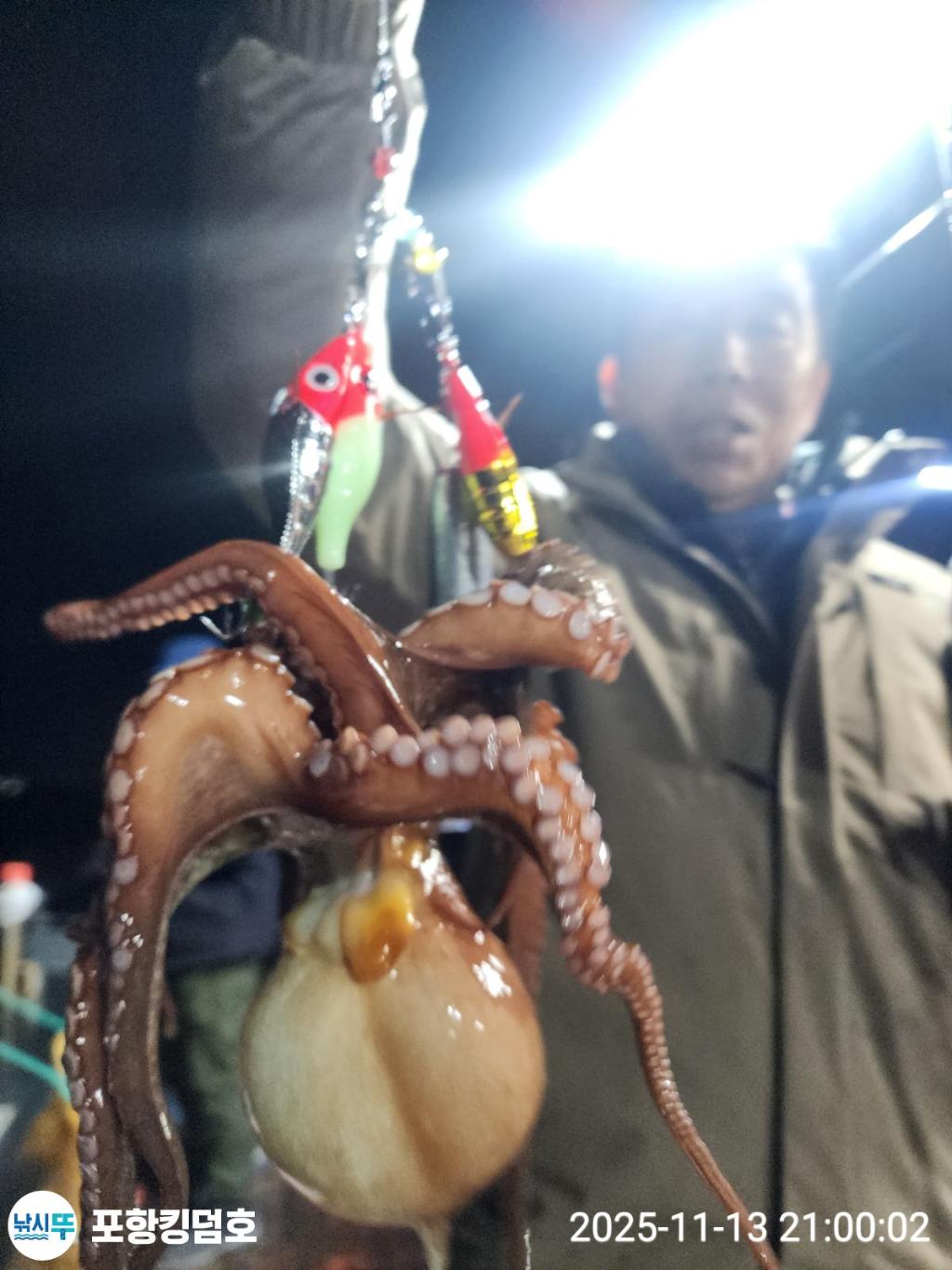 낚시뚜,돌문어,영일만항,포항 킹덤호,낚시뚜20