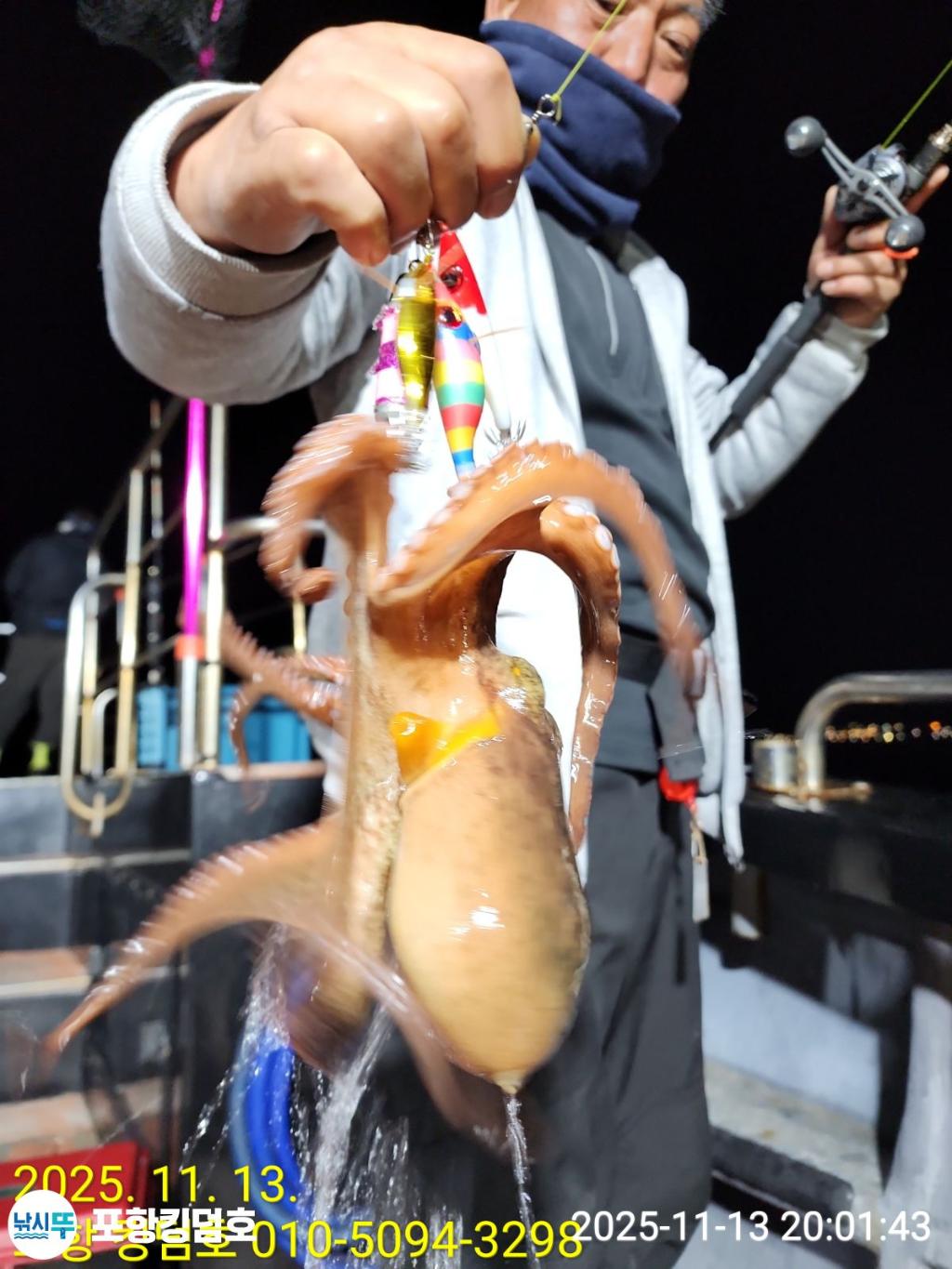 낚시뚜,돌문어,영일만항,포항 킹덤호,낚시뚜14