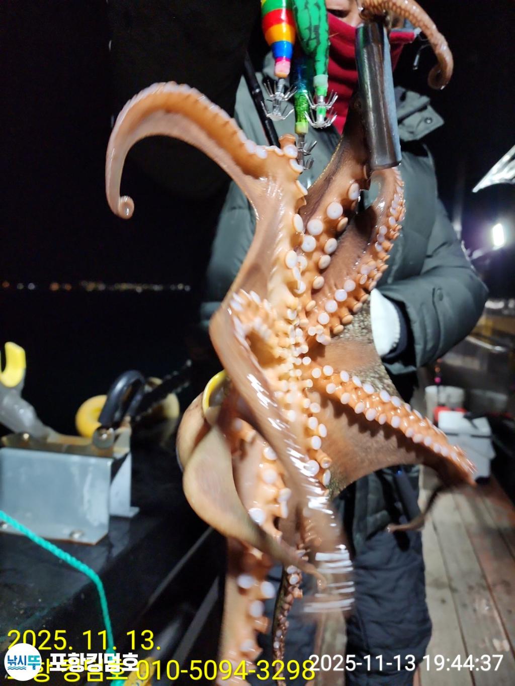 낚시뚜,돌문어,영일만항,포항 킹덤호,낚시뚜12