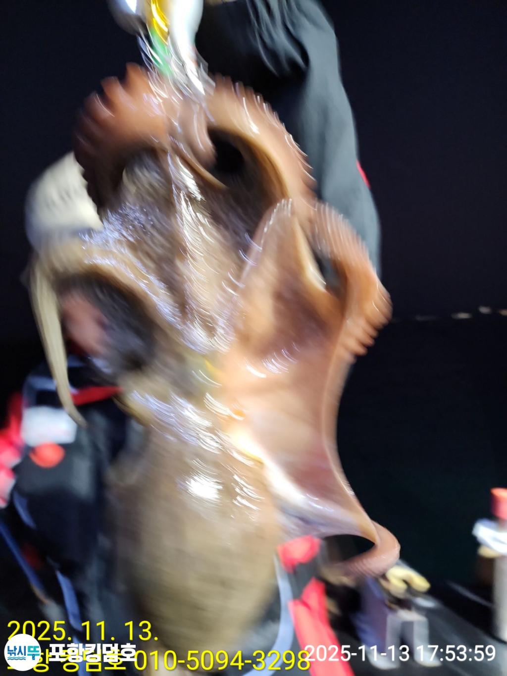 낚시뚜,돌문어,영일만항,포항 킹덤호,낚시뚜7