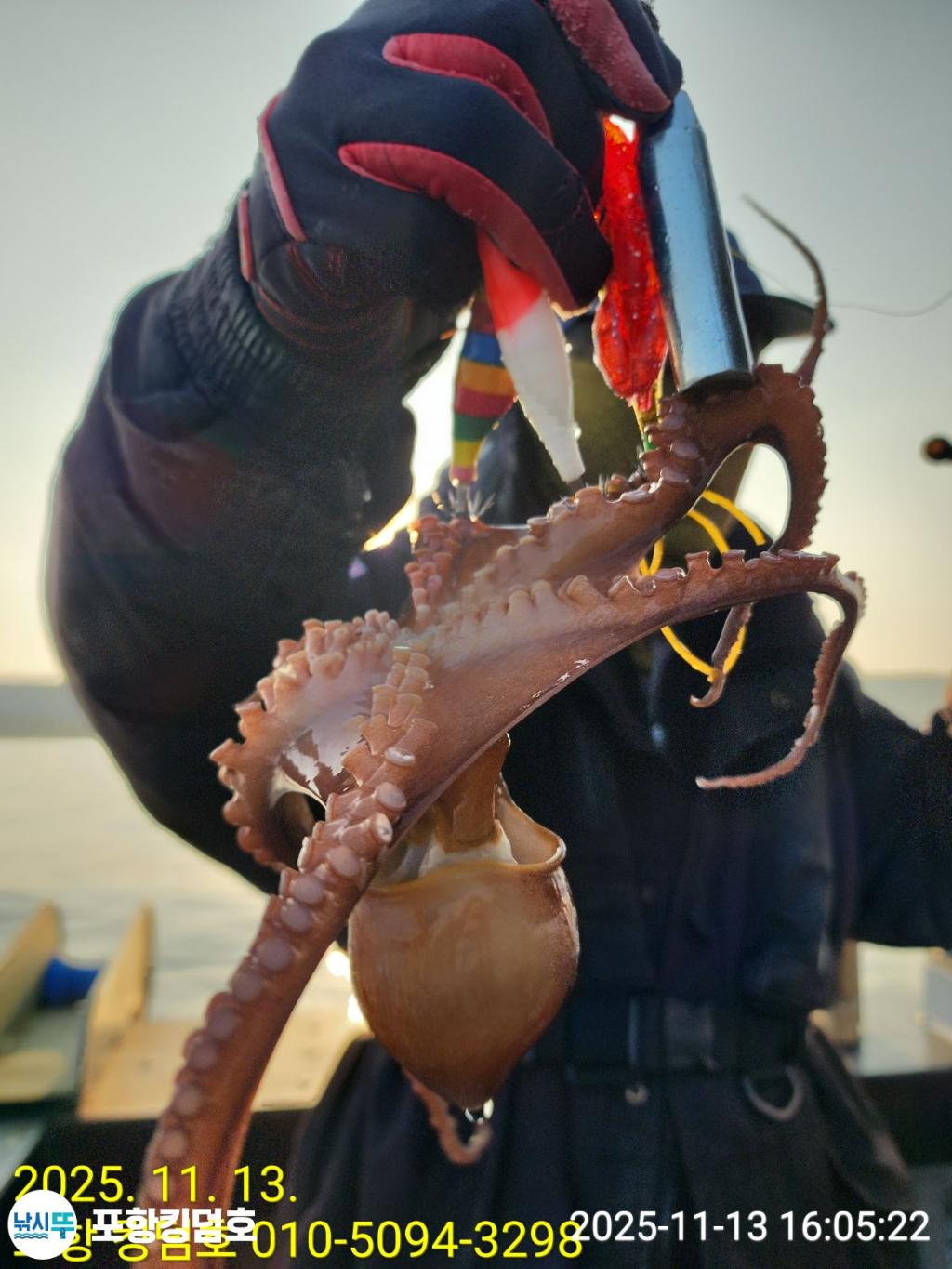 낚시뚜,돌문어,영일만항,포항 킹덤호,낚시뚜4