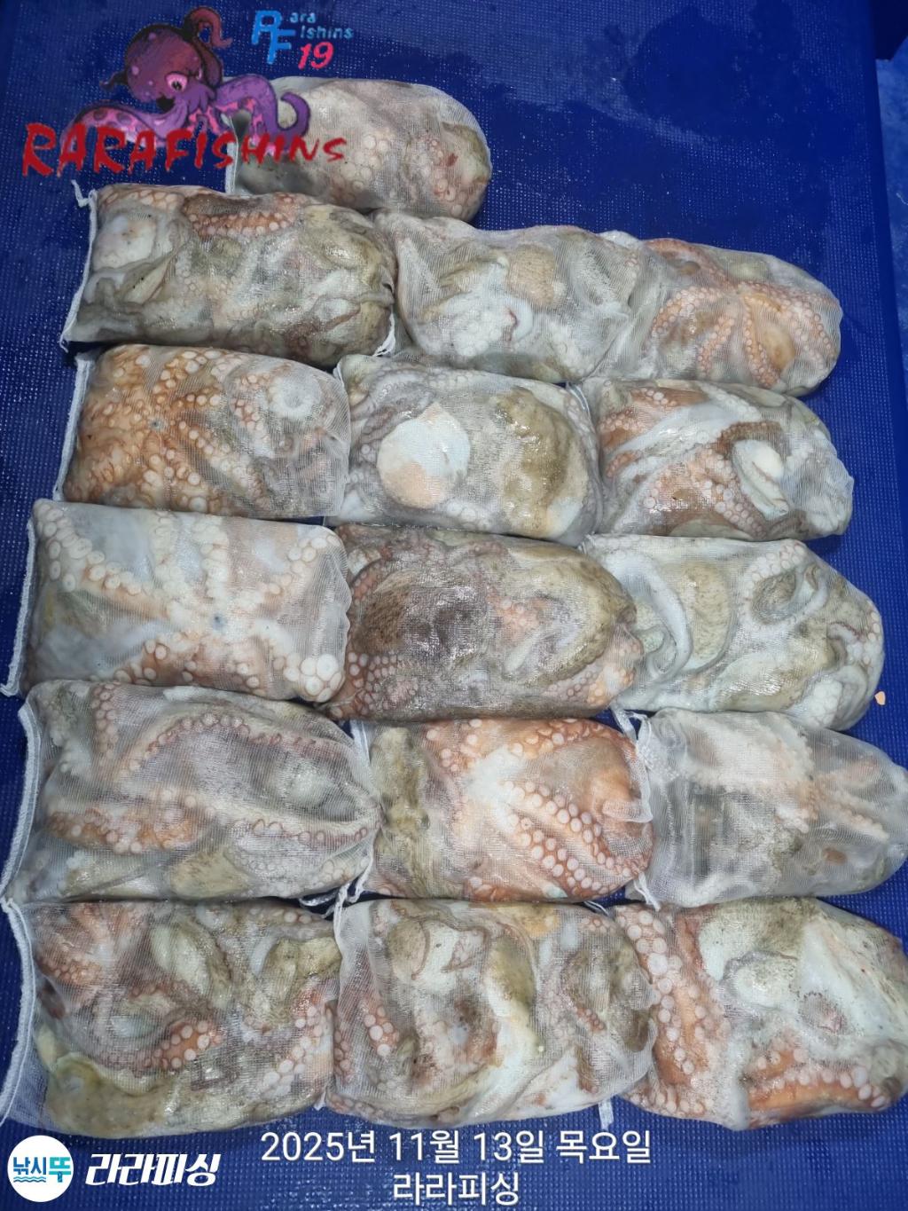 낚시뚜,돌문어,속천항(진해),라라피싱,낚시뚜14