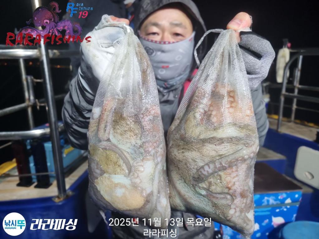 낚시뚜,돌문어,속천항(진해),라라피싱,낚시뚜8