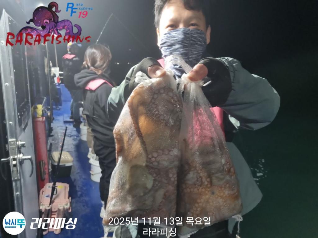 낚시뚜,돌문어,속천항(진해),라라피싱,낚시뚜7