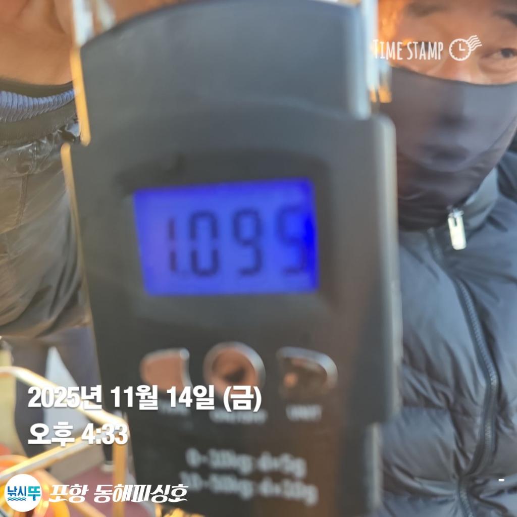 낚시뚜,돌문어,포항(운하관),포항 동해피싱호,낚시뚜19