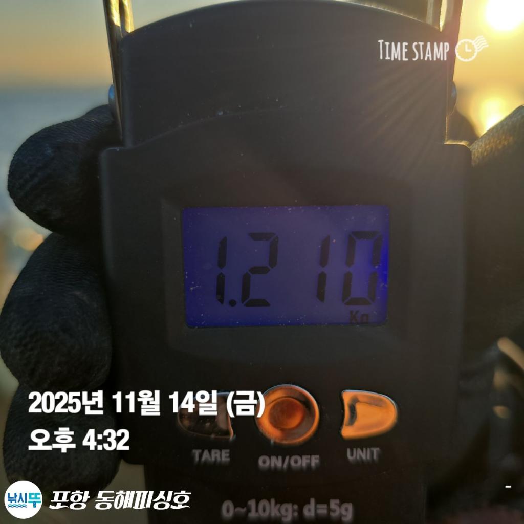 낚시뚜,돌문어,포항(운하관),포항 동해피싱호,낚시뚜17