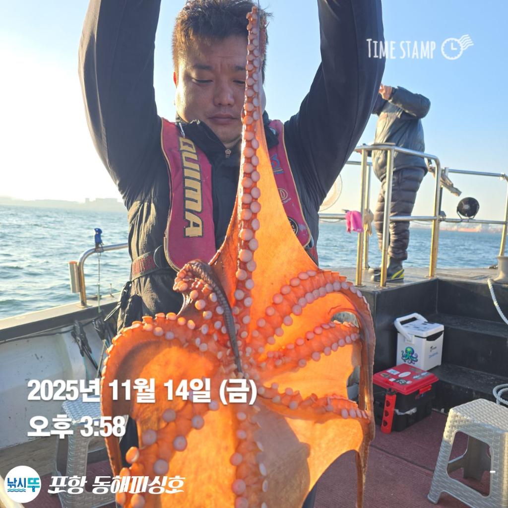 낚시뚜,돌문어,포항(운하관),포항 동해피싱호,낚시뚜16