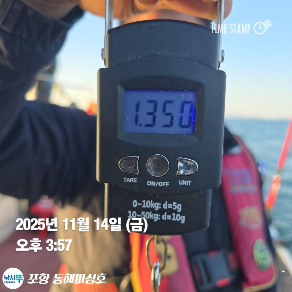 낚시뚜,돌문어,포항(운하관),포항 동해피싱호,낚시뚜15