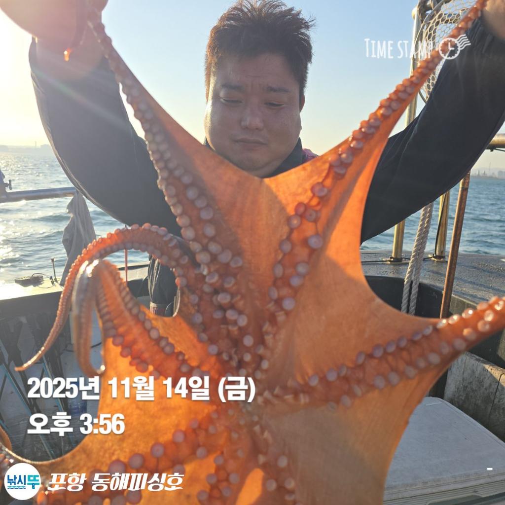 낚시뚜,돌문어,포항(운하관),포항 동해피싱호,낚시뚜14