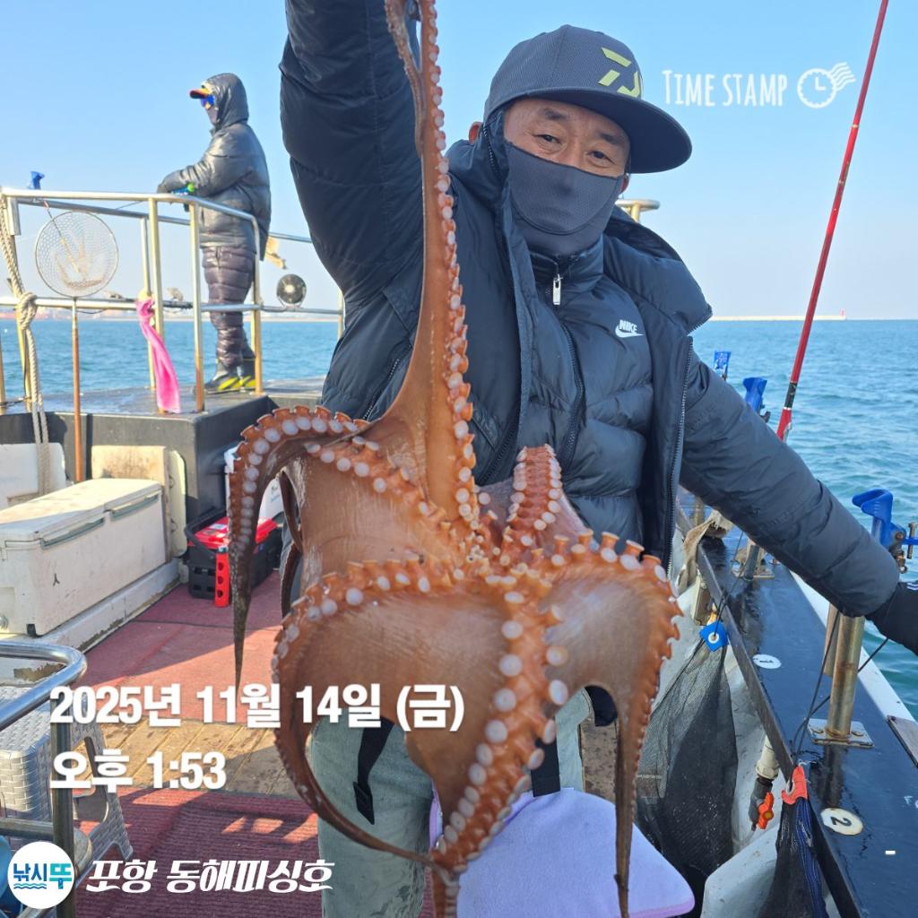 낚시뚜,돌문어,포항(운하관),포항 동해피싱호,낚시뚜13
