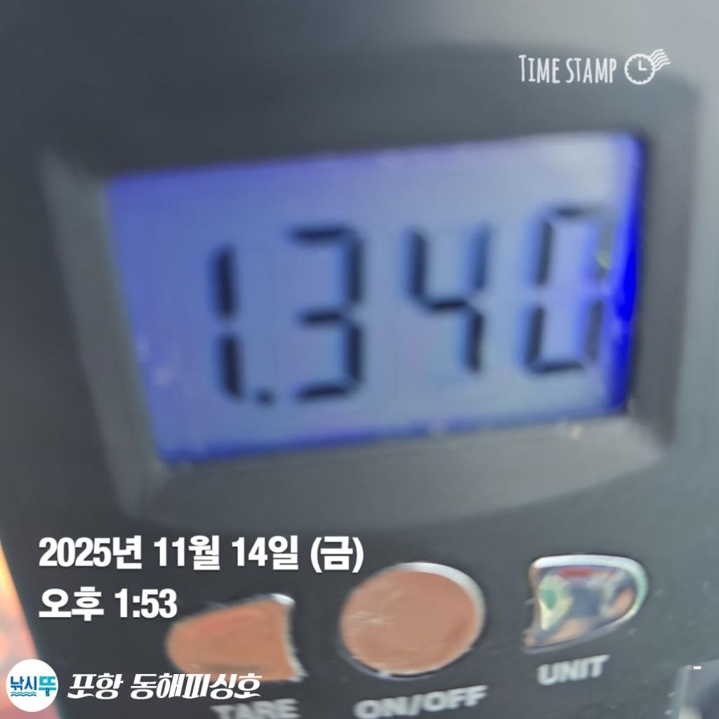 낚시뚜,돌문어,포항(운하관),포항 동해피싱호,낚시뚜12