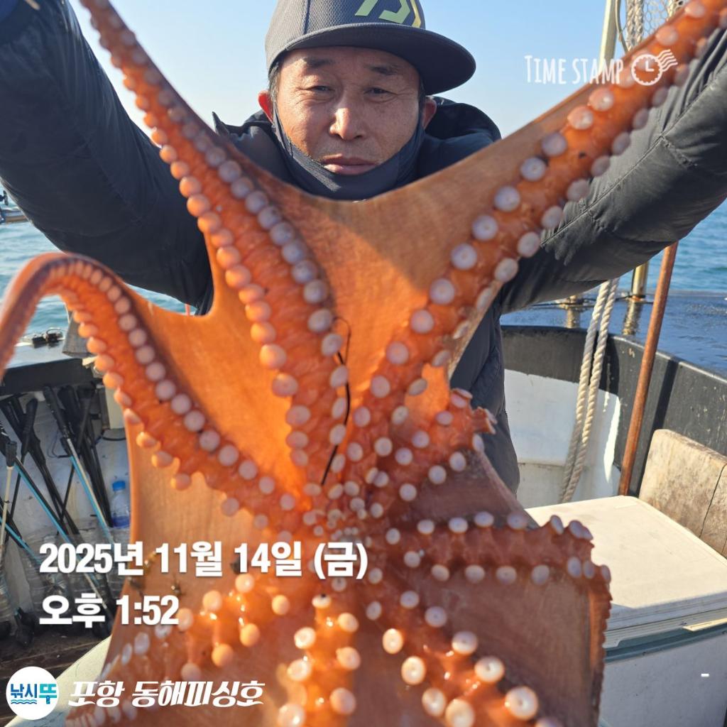 낚시뚜,돌문어,포항(운하관),포항 동해피싱호,낚시뚜11