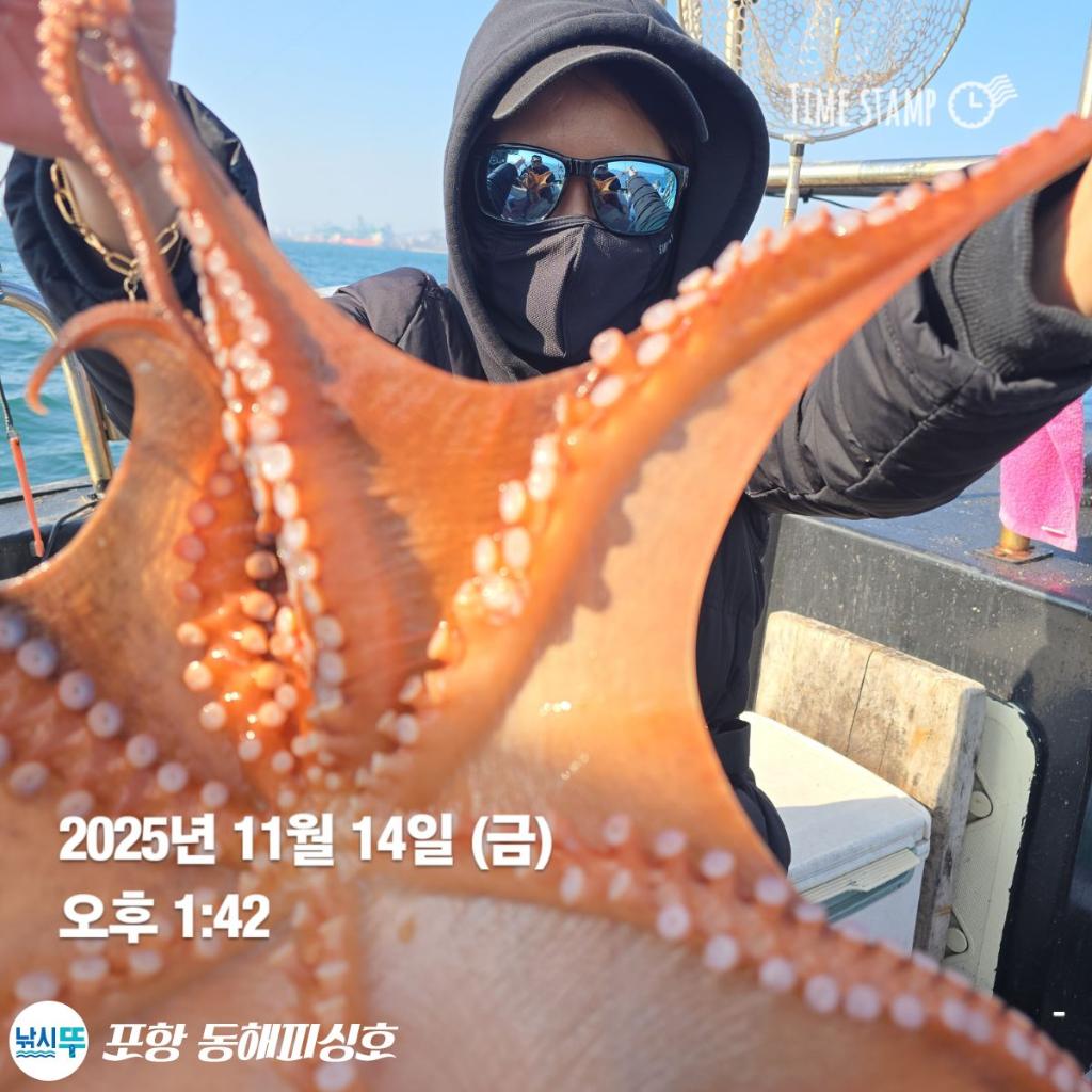낚시뚜,돌문어,포항(운하관),포항 동해피싱호,낚시뚜10