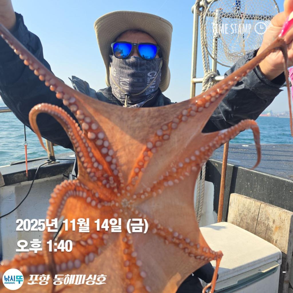 낚시뚜,돌문어,포항(운하관),포항 동해피싱호,낚시뚜9