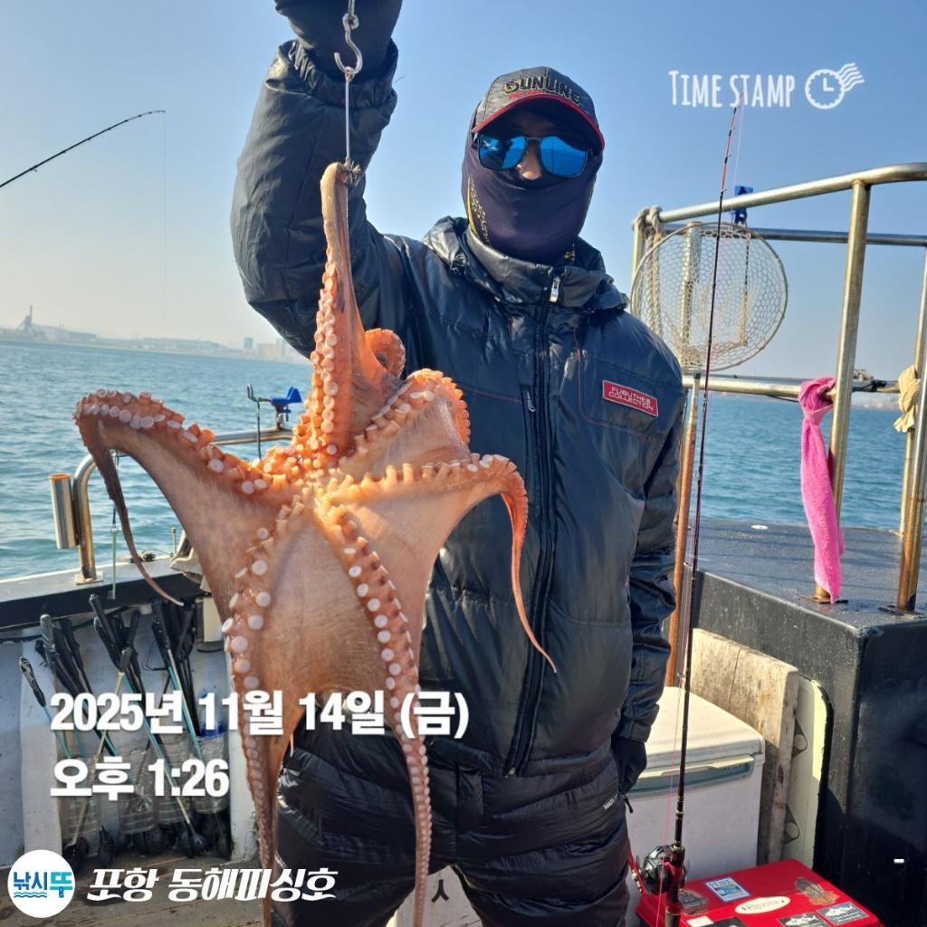 낚시뚜,돌문어,포항(운하관),포항 동해피싱호,낚시뚜8