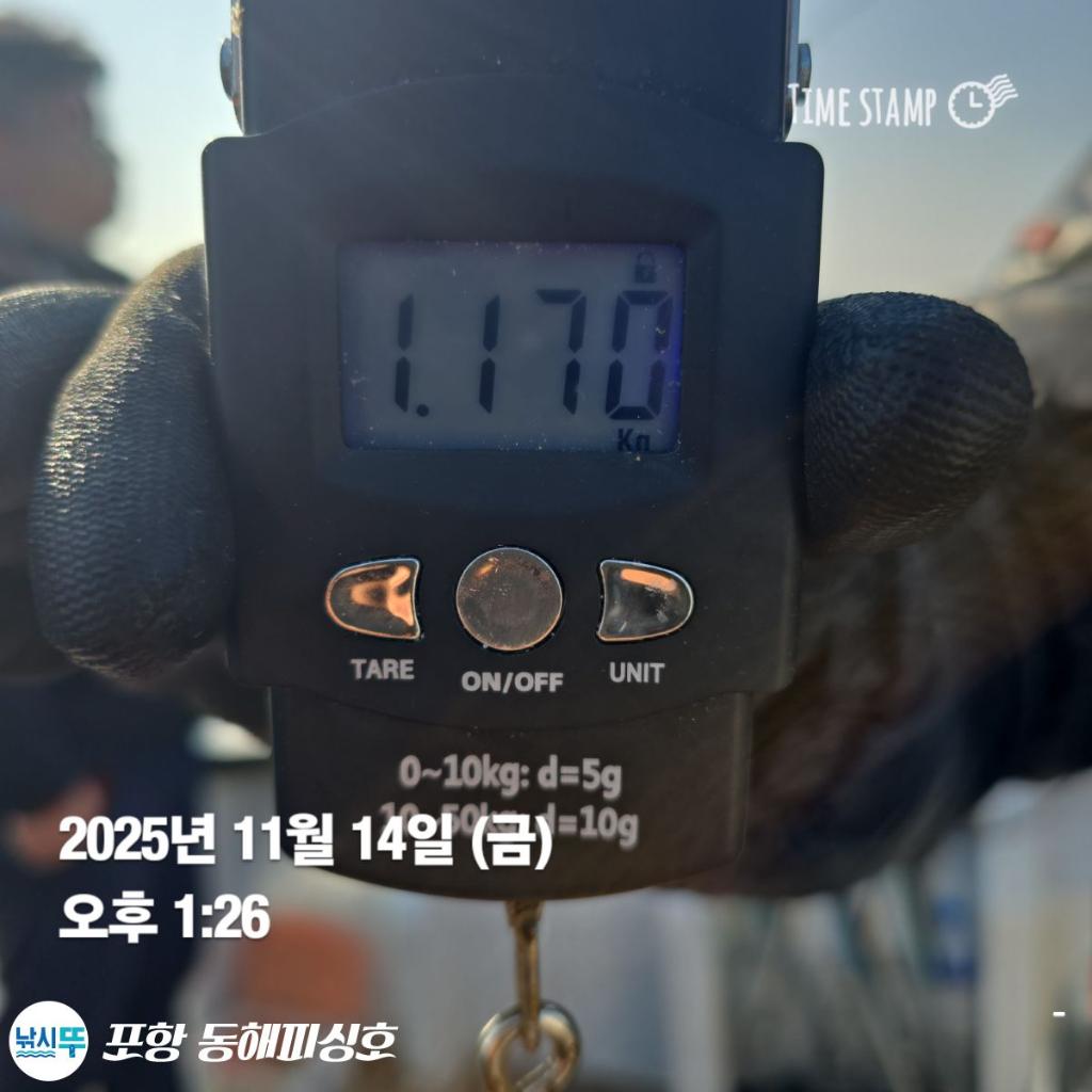 낚시뚜,돌문어,포항(운하관),포항 동해피싱호,낚시뚜7