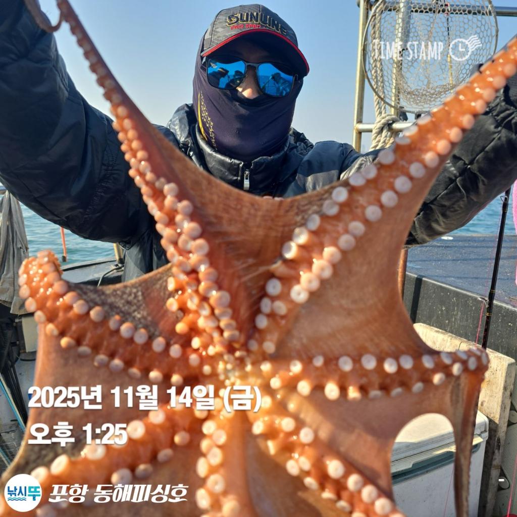 낚시뚜,돌문어,포항(운하관),포항 동해피싱호,낚시뚜6