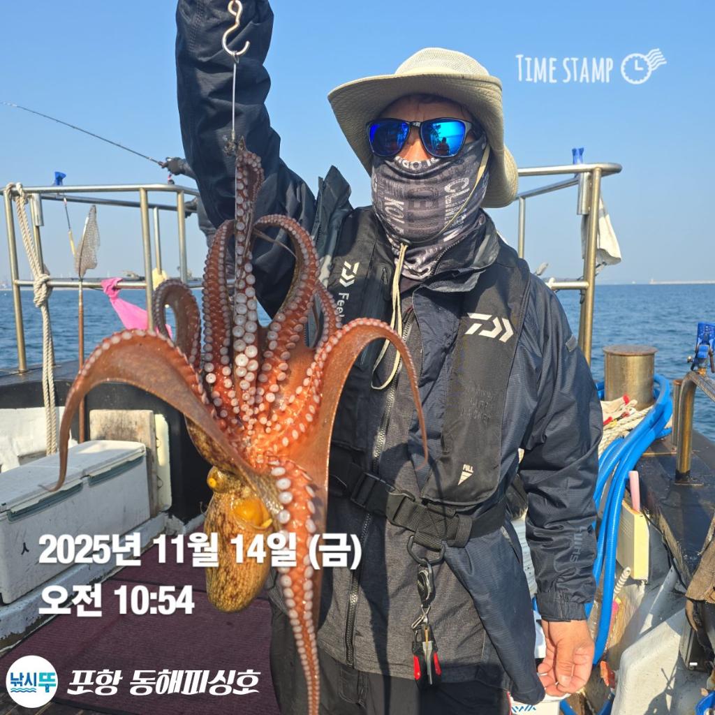 낚시뚜,돌문어,포항(운하관),포항 동해피싱호,낚시뚜5