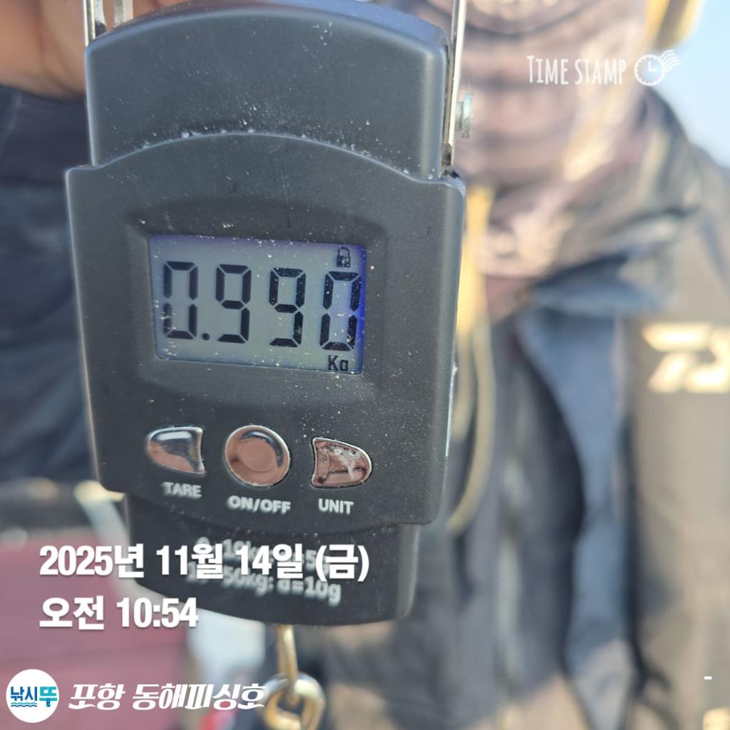 낚시뚜,돌문어,포항(운하관),포항 동해피싱호,낚시뚜4